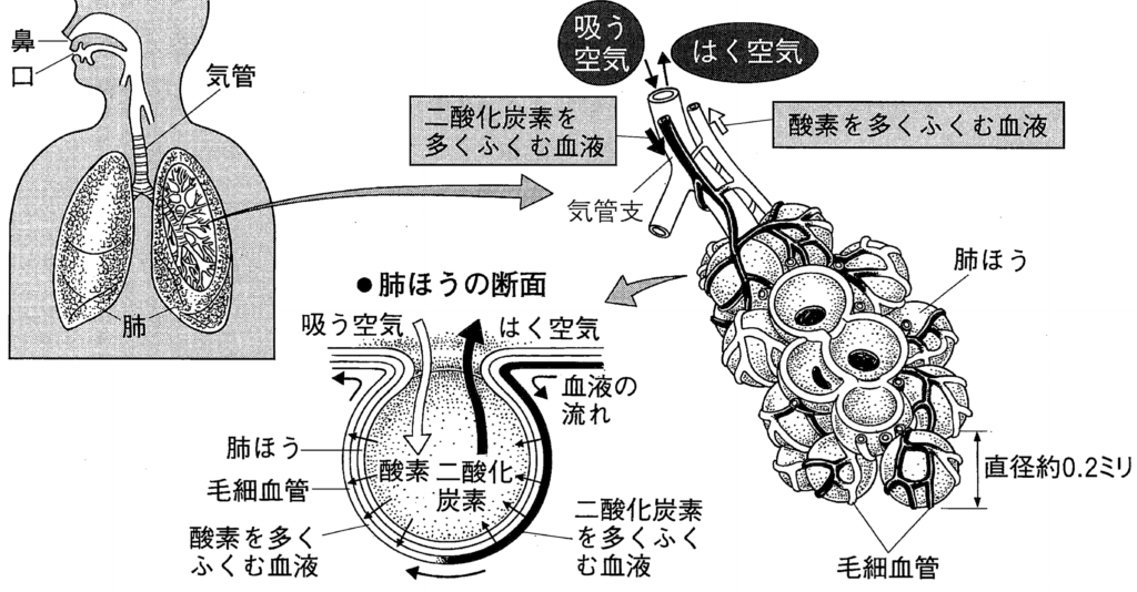 いつ必要になるのでしょうか?